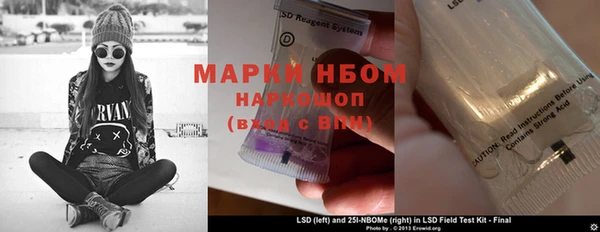 индика Новозыбков