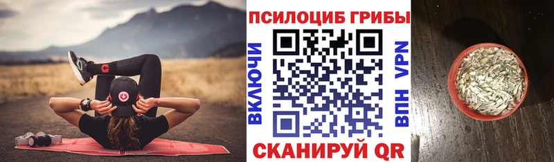 Галлюциногенные грибы Cubensis Щёлкино